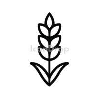 Wheat Plant Icon Outline