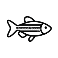 Zebrafish Icon Outline